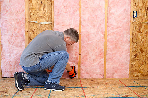 Best DIY Insulation Kits and Guidance in Missoula, MT